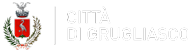 Città di Grugliasco